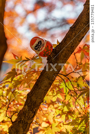 Minoh Park near osaka at autumn time 135779481