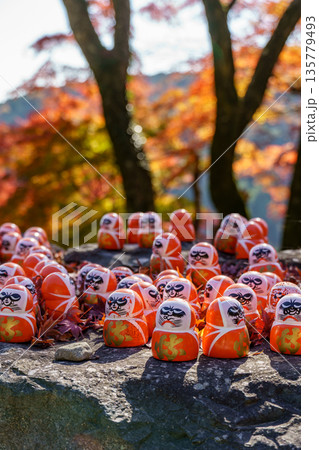Minoh Park near osaka at autumn time 135779493