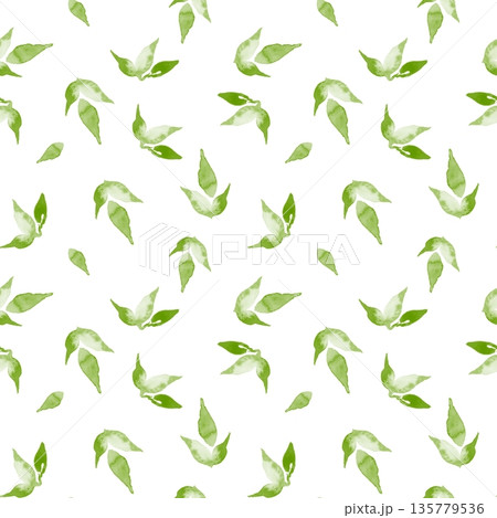 Hand drawn watercolor seamless pattern with green leaves on white background Hand drawn watercolor seamless pattern with green leaves on white background 135779536