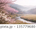 早春の梅と寒桜 135779680