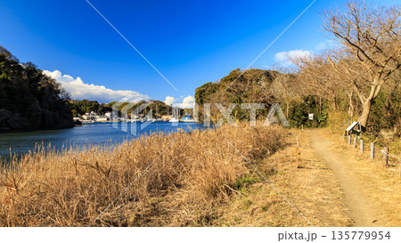 小網代の森の冬 135779954