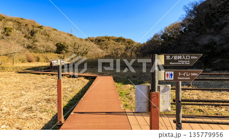 小網代の森の冬 135779956