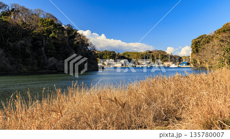 小網代湾の冬 135780007