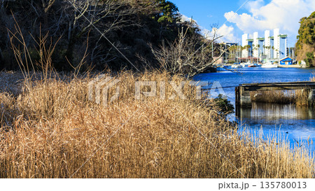 小網代湾の冬 135780013