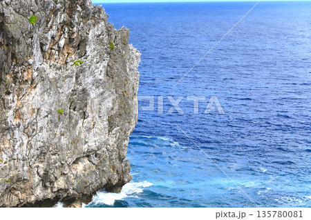 青い海に映えるダイナミックな岩場 135780081