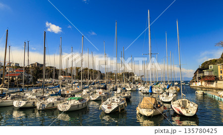 青空に映えるヨットハーバー 135780425
