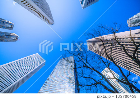 日本の東京都市景観 新宿の東京都庁やオフィスビル群などを望む=令和8年1月25日 日本の東京都市景観 新宿の東京都庁やオフィスビル群などを望む=令和8年1月25日 135780459