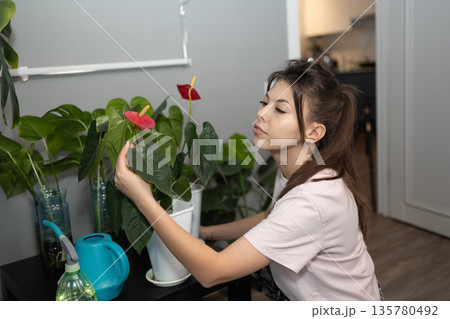 Woman Tending to Her House Plants in a Bright Living Room 135780492