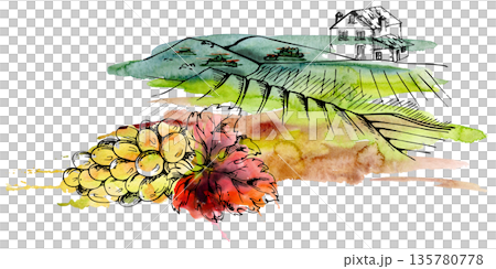 Calm countryside scene with rolling hills, farmland areas, rural house, grape cluster and leaf closeup. Watercolor and ink isolated illustration for farmers market ads, food and wine produce packaging 135780778