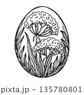 Easter egg painted with wildflower hand drawn sketch. Vintage floral shell vector outline illustration. Use for holiday greeting card design. Perfect for Christian religious and farm themed print. 135780801