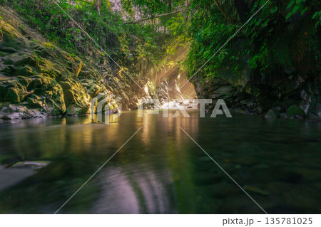 Beautiful morning view indonesia Panorama Landscape paddy fields with beauty color and sky natural light Beautiful morning view indonesia Panorama Landscape paddy fields with beauty color and sky natural light 135781025