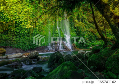 Beautiful morning view indonesia Panorama Landscape paddy fields with beauty color and sky natural light Beautiful morning view indonesia Panorama Landscape paddy fields with beauty color and sky natural light 135781162