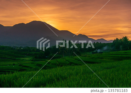 Indonesia's extraordinary natural scenery. sunny morning sunrise view in the rice fields 135781183
