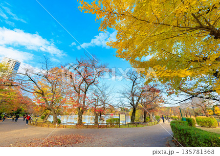 東京 台東区 上野公園 不忍池の紅葉 東京 台東区 上野公園 不忍池の紅葉 135781368