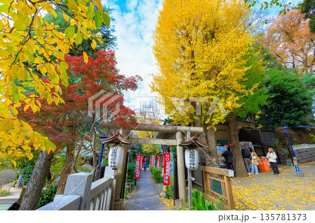 東京　台東区　上野恩賜公園の紅葉 135781373