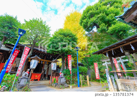 東京　台東区　上野恩賜公園の紅葉 135781374
