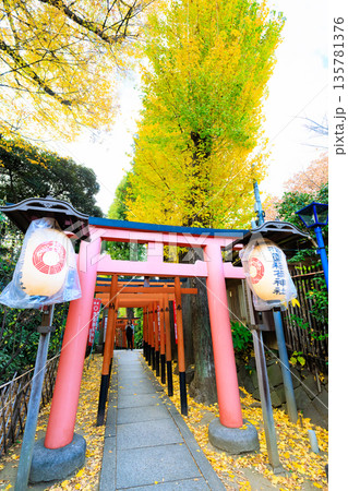 東京　台東区　上野恩賜公園の紅葉 135781376