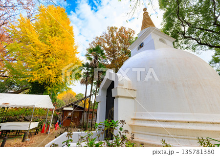 東京　台東区　上野恩賜公園の紅葉 135781380