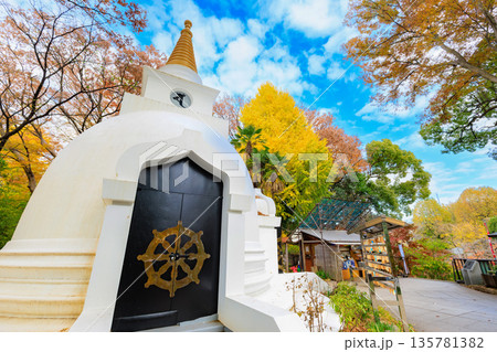 東京　台東区　上野恩賜公園の紅葉 135781382