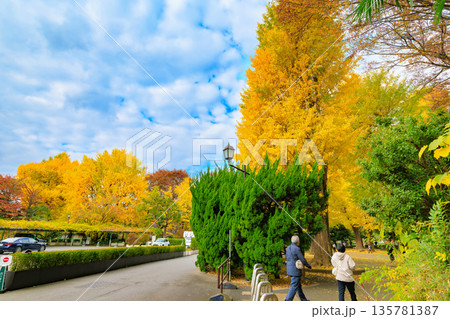 東京　台東区　上野恩賜公園の紅葉 135781387
