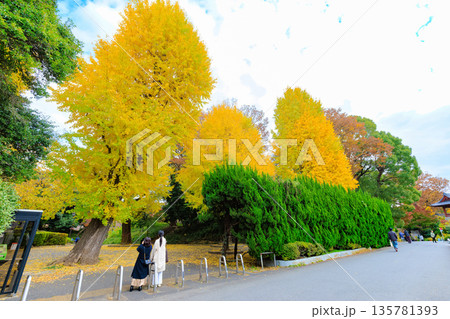 東京　台東区　上野恩賜公園の紅葉 135781393