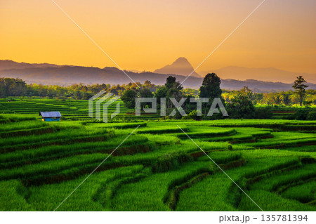 The view when the morning sun is beautiful over the mountains and green rice fields in the village of Kemumu, Indonesia The view when the morning sun is beautiful over the mountains and green rice fields in the village of Kemumu, Indonesia 135781394