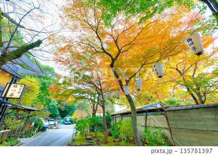 東京　台東区　上野恩賜公園の紅葉 135781397