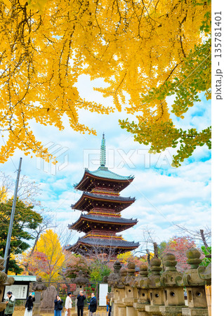 東京　台東区　上野恩賜公園の紅葉 135781401