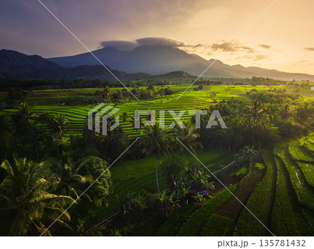 the view of the morning sunrise in the village of Kemumu, with the sky turning red over the mountain ranges and green rice fields the view of the morning sunrise in the village of Kemumu, with the sky turning red over the mountain ranges and green rice fields 135781432