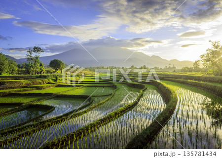 the view of the morning sunrise in the village of Kemumu, with the sky turning red over the mountain ranges and green rice fields the view of the morning sunrise in the village of Kemumu, with the sky turning red over the mountain ranges and green rice fields 135781434