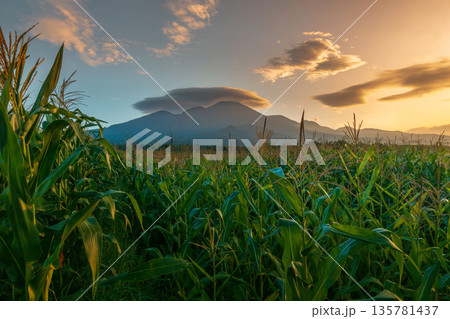 the view of the morning sunrise in the village of Kemumu, with the sky turning red over the mountain ranges and green rice fields the view of the morning sunrise in the village of Kemumu, with the sky turning red over the mountain ranges and green rice fields 135781437