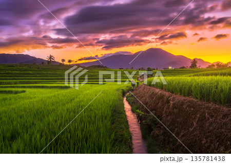 the view of the morning sunrise in the village of Kemumu, with the sky turning red over the mountain ranges and green rice fields the view of the morning sunrise in the village of Kemumu, with the sky turning red over the mountain ranges and green rice fields 135781438