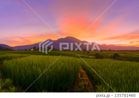 the view of the morning sunrise in the village of Kemumu, with the sky turning red over the mountain ranges and green rice fields 135781460