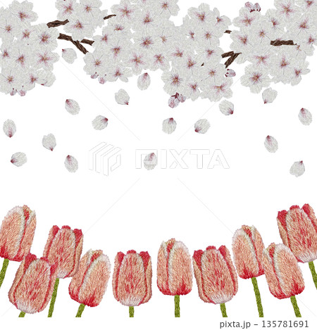 【桜とチューリップフレーム】手刺繍イラスト素材 135781691