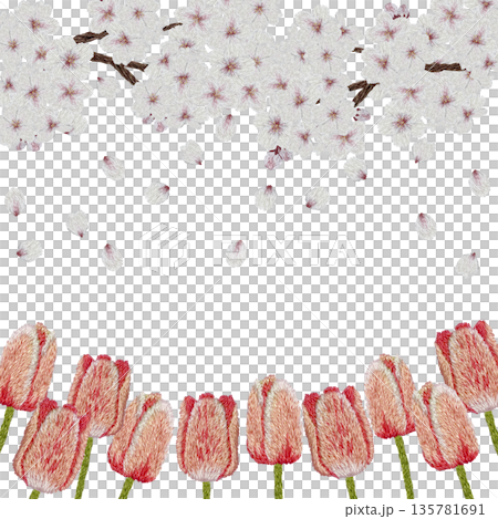 【桜とチューリップフレーム】手刺繍イラスト素材 135781691