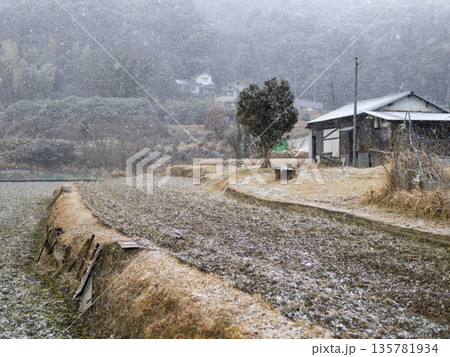 雪が降る冬の田園風景 135781934