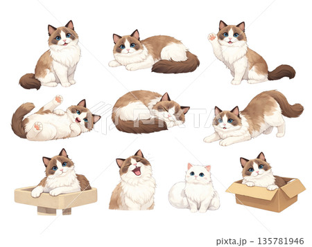 色んなポーズの猫のイラストセット 135781946