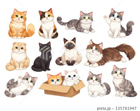 かわいい猫のイラストセット 135781947