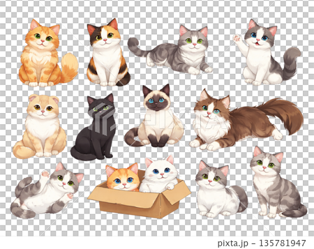 かわいい猫のイラストセット 135781947