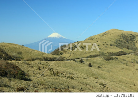西伊豆スカイラインと富士山 西伊豆スカイラインと富士山 135783193