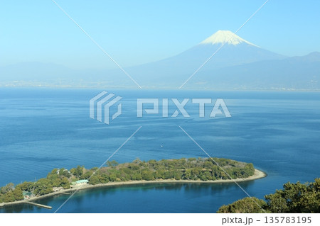 大瀬崎と富士山 135783195