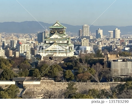 都会に聳え立つ大阪城 都会に聳え立つ大阪城 135783290