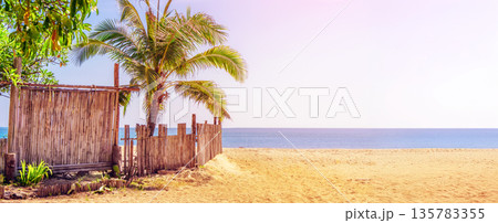 Picturesque beach landscape with palm tree and reed fence copy space for advertising. The concept of a tropical vacation, a panorama with sea and sand in the daytime. High quality photo Picturesque beach landscape with palm tree and reed fence copy space for advertising. The concept of a tropical vacation, a panorama with sea and sand in the daytime. High quality photo 135783355