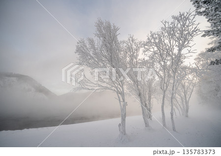 Frost covers trees near the river during a cold morning with fog in the background and a misty landscape. High quality photo 135783373