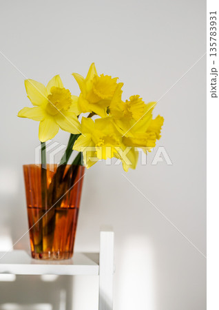 Spring floral background. Yellow fresh Daffodils in orange glass vase, over white background with copy space. Easter abstract mockup Spring floral background. Yellow fresh Daffodils in orange glass vase, over white background with copy space. Easter abstract mockup 135783931