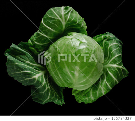 Head of green young fresh cabbage with loose leaves, on black background Head of green young fresh cabbage with loose leaves, on black background 135784327