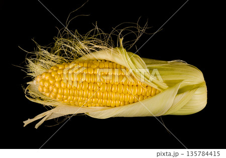 a swing of young corn, half peeled from the husk on a black background isolated a swing of young corn, half peeled from the husk on a black background isolated 135784415