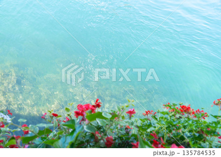 Clear turquoise water with red flowers in the foreground. Minimalistic natural background with calm mood. Concept of nature, serenity, summer and relaxation 135784535
