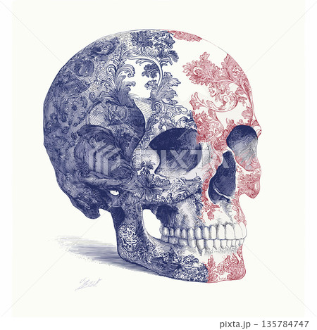 Ornate skull illustration with intricate blue and red floral patterns. Decorative human skull showing detailed blue and red scrollwork patterns on an off-white background Ornate skull illustration with intricate blue and red floral patterns. Decorative human skull showing detailed blue and red scrollwork patterns on an off-white background 135784747