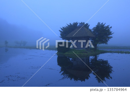 水田に映り込む朝日 水田に映り込む朝日 135784964
